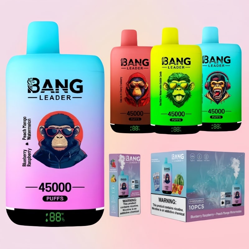 Bang Leader 45000｜45,000回吸引・2フレーバー切替 使い捨て電子タバコ