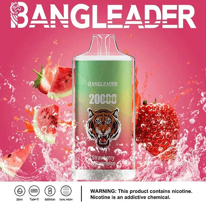 Bang Leader 20000パフ 使い捨て電子タバコ **大量仕入れ・卸売特価対応**