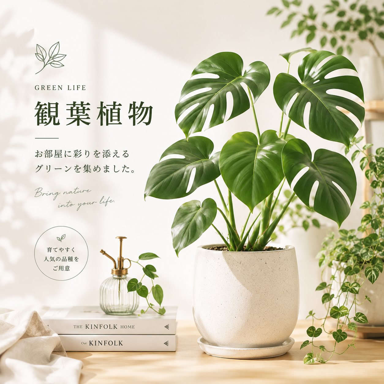観葉植物