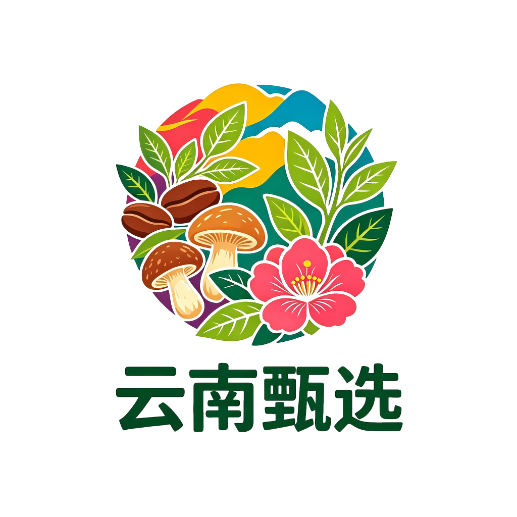 云南甄选