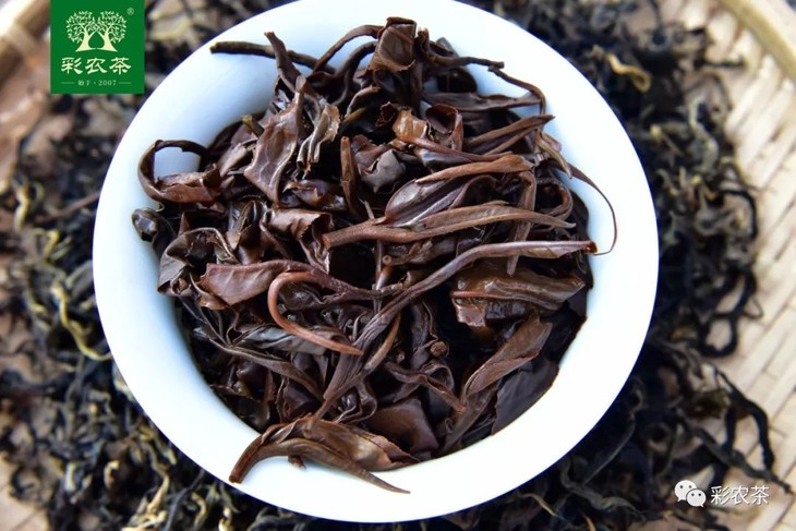 彩农茶｜易武古曼撒2021明前头春晒红茶
