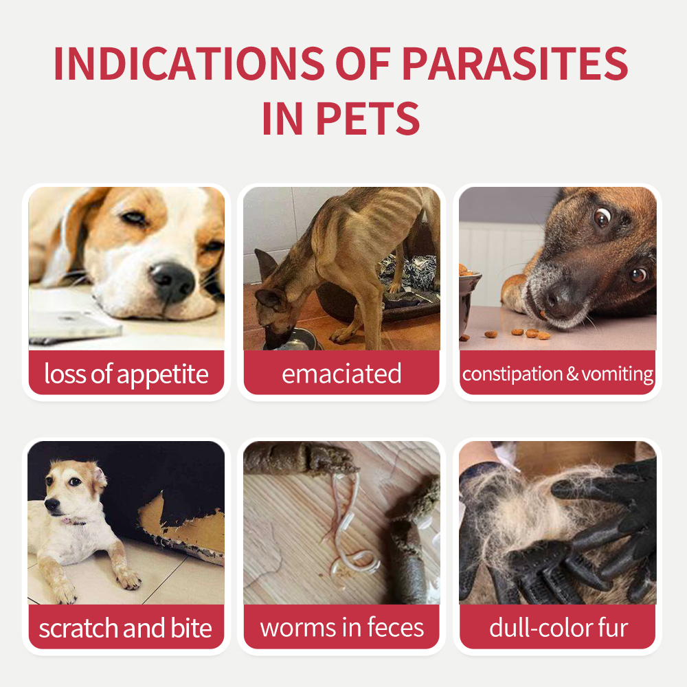 Puainta  Internal Deworming