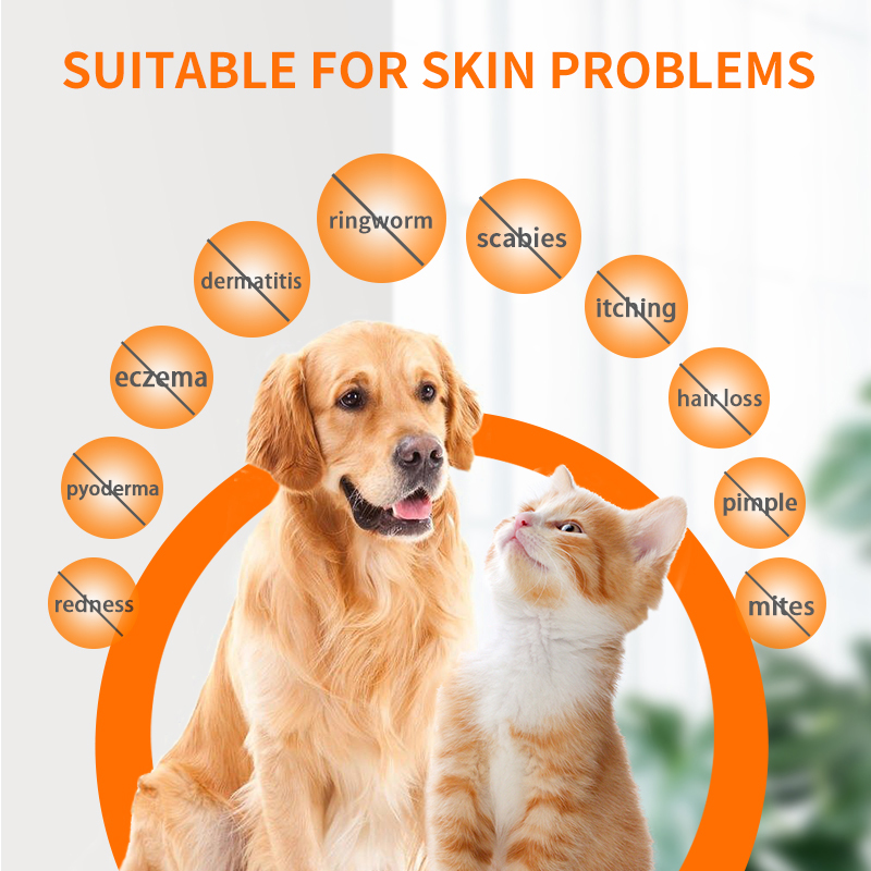 Multifunctional Skin Spray【50ml】