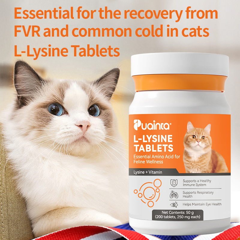L-Lysine for Cats – Immune Support for Cold, Sneezing, Runny Nose & FVR