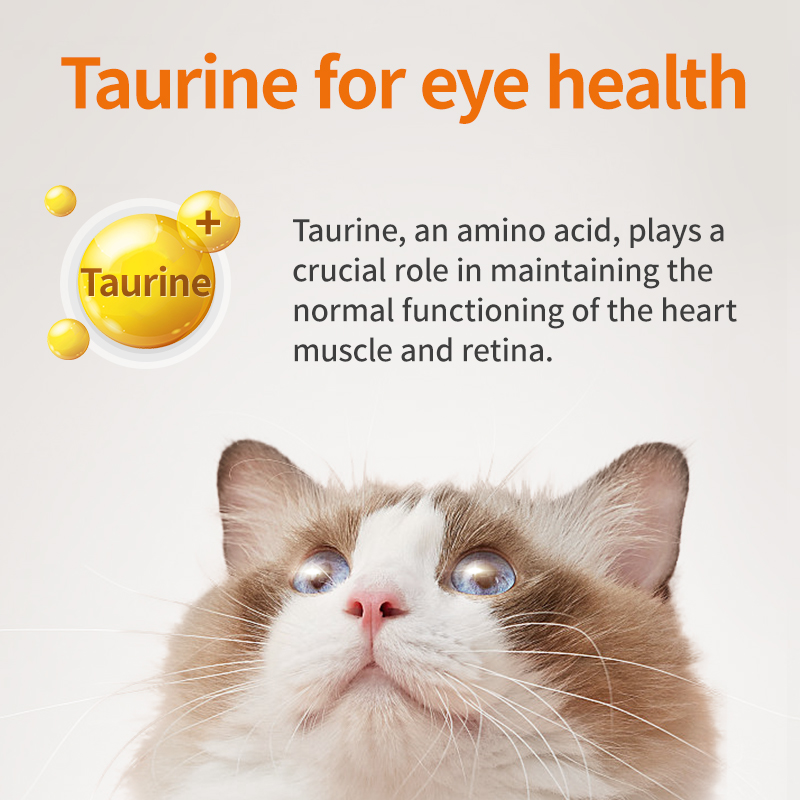 L-Lysine for Cats – Immune Support for Cold, Sneezing, Runny Nose & FVR
