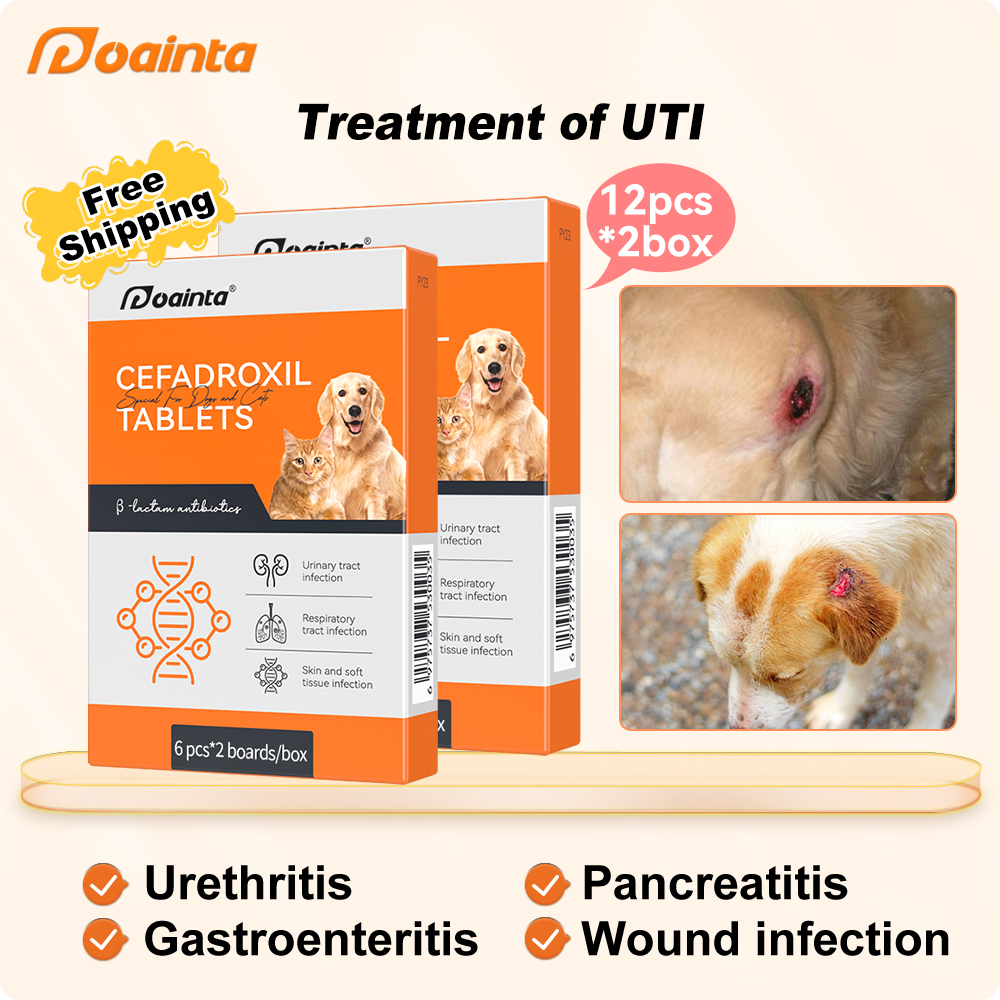 Cefadroxil Tablets for Bacterial Infections in Pets