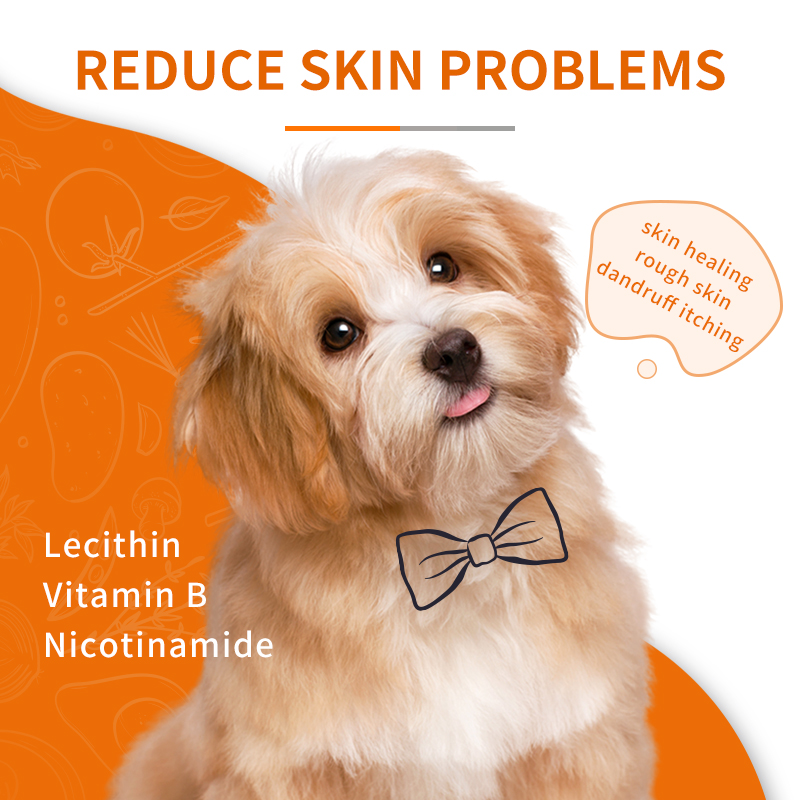 Lecithin Supplements for Dogs, 300g