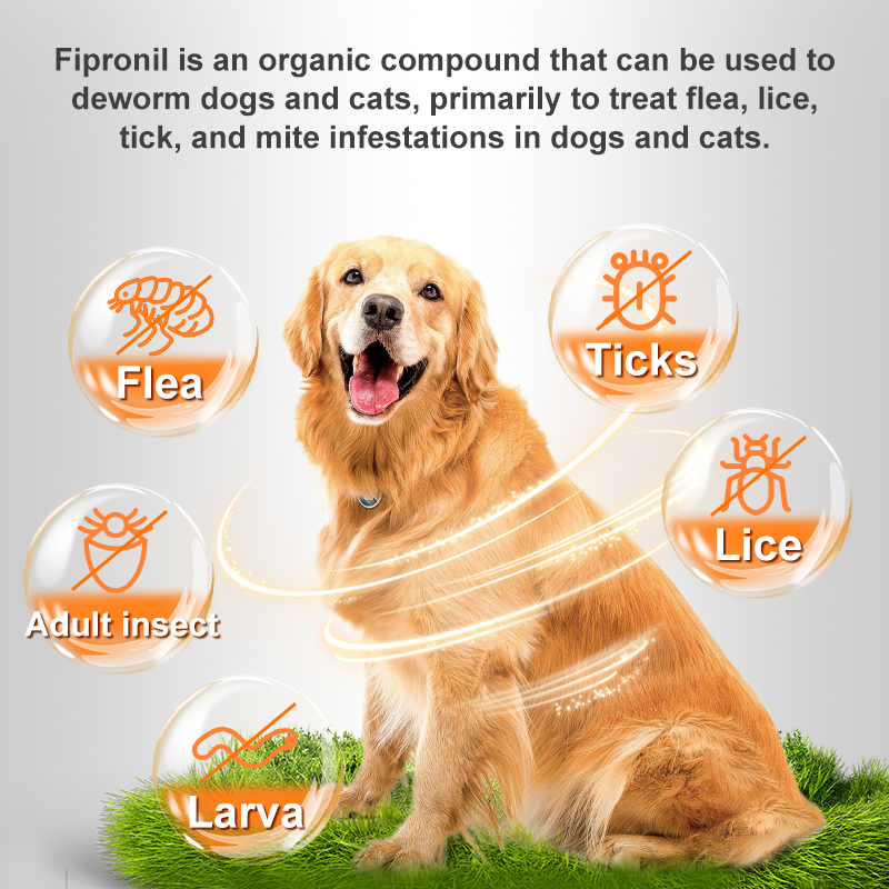 Puainta | Tick & Flea Remover Treatment-For Dogs & Cats