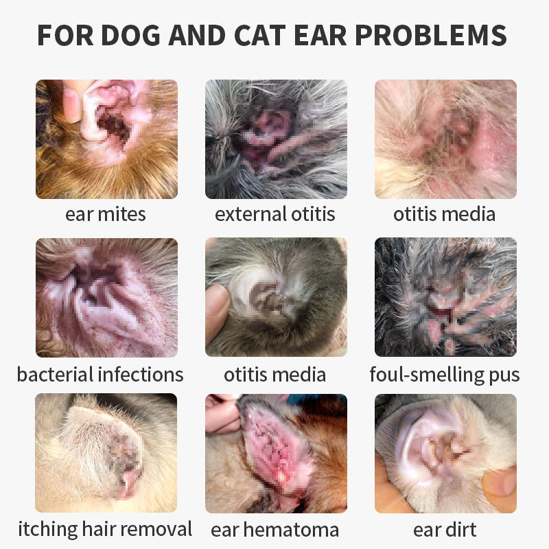 Ear Inflammation - Ear Drops