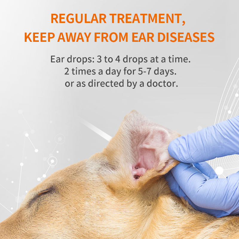 Ear Inflammation - Ear Drops