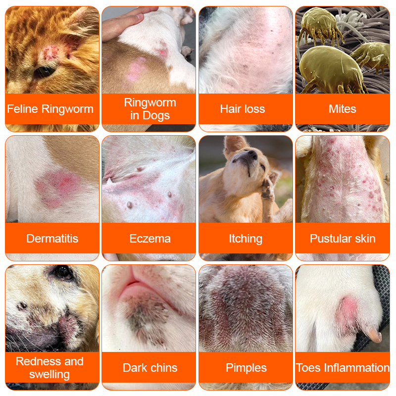 Multifunctional Skin Spray For Dogs &Cats-50 ml