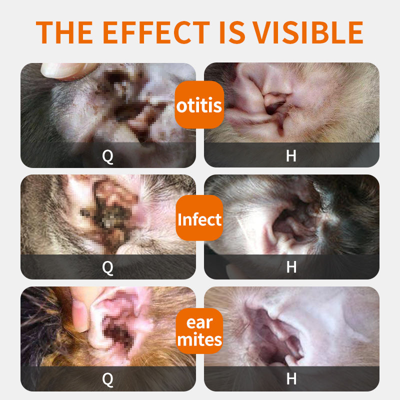 Ear Inflammation - Ear Drops
