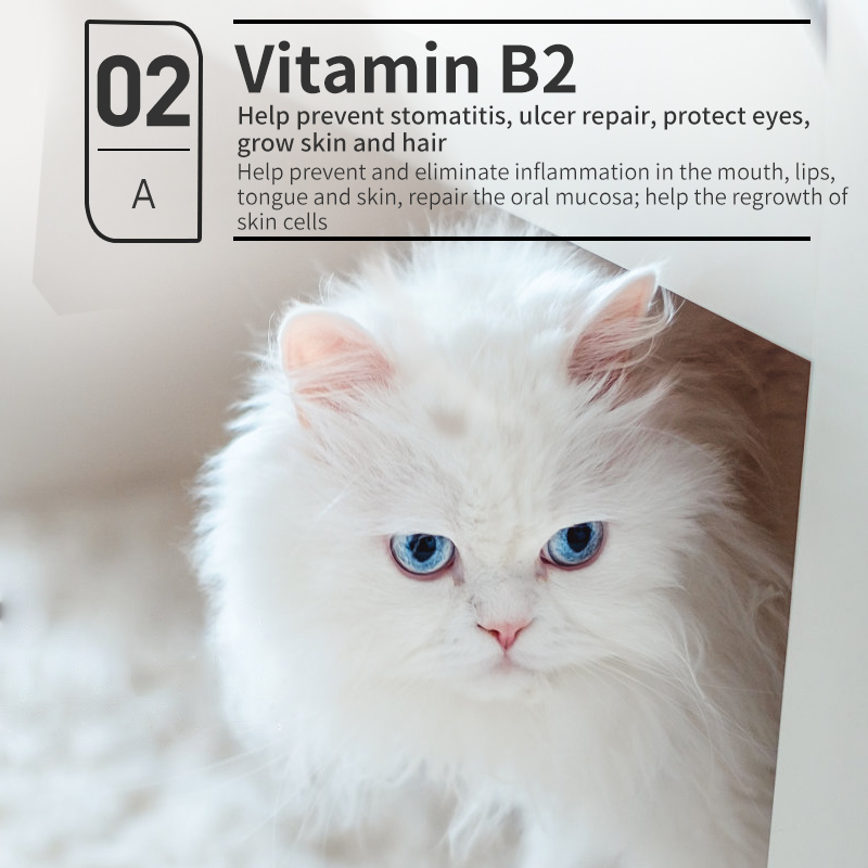 Vitamin B Complex Solution