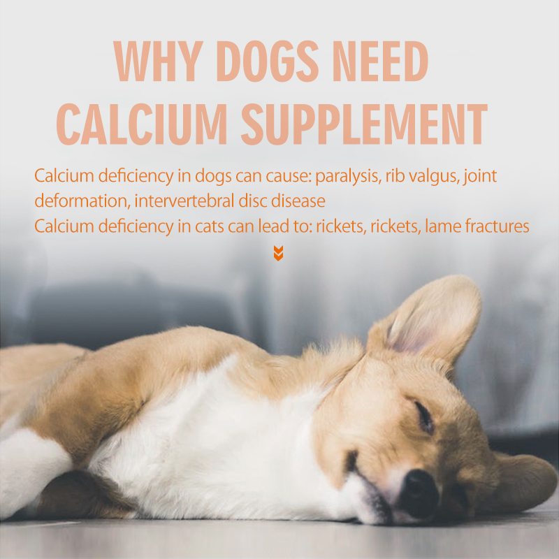 Calcium-Phosphorus Plus Vitamin D3 Powder Joint Supplement