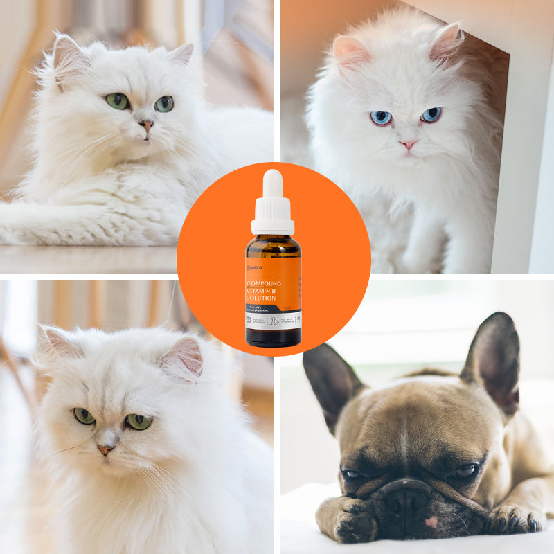 Vitamin B Complex Solution