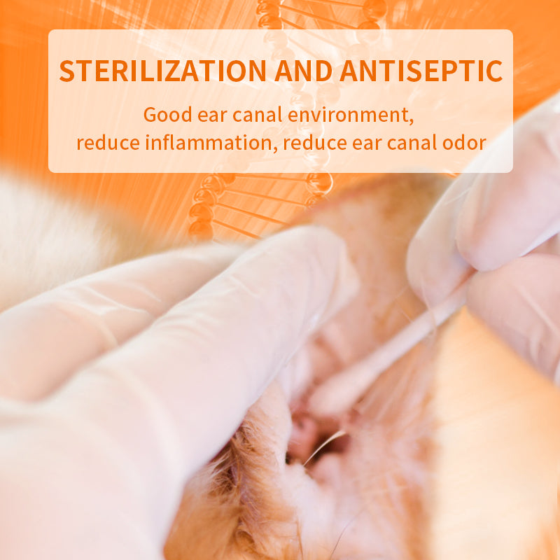 Ear Inflammation - Ear Drops