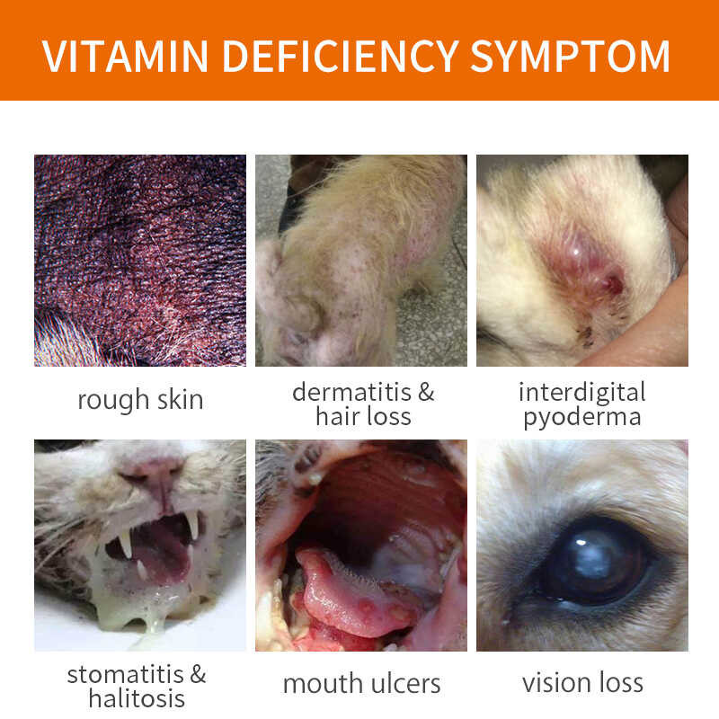 Puainta Vitamin Oral Solution Supplements