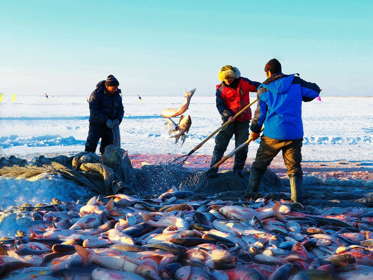6 Days Harbin & Mt.Changbai Ski Resort Tour