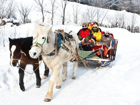 5 Days Harbin Ski and Volgar Manor Tour
