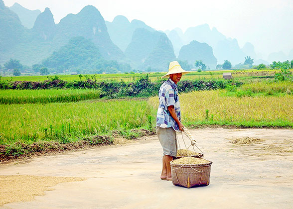 Yangshuo Countryside