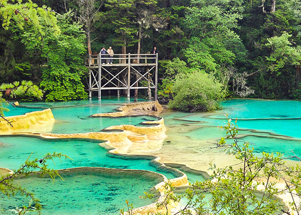 Five-Color Pond