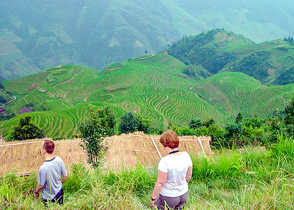 Longji Rice Terraces