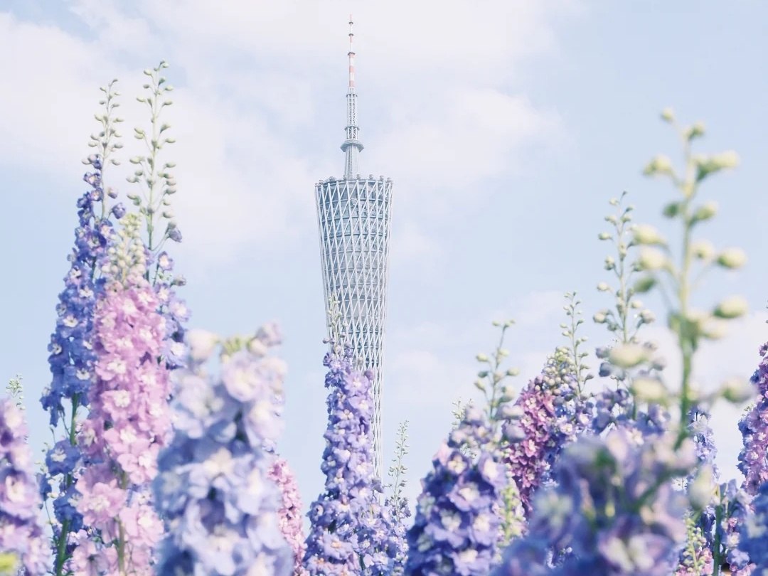 4 Days Guangzhou-Qingyuan- Foshan Spring Blossoms Discovery Tour