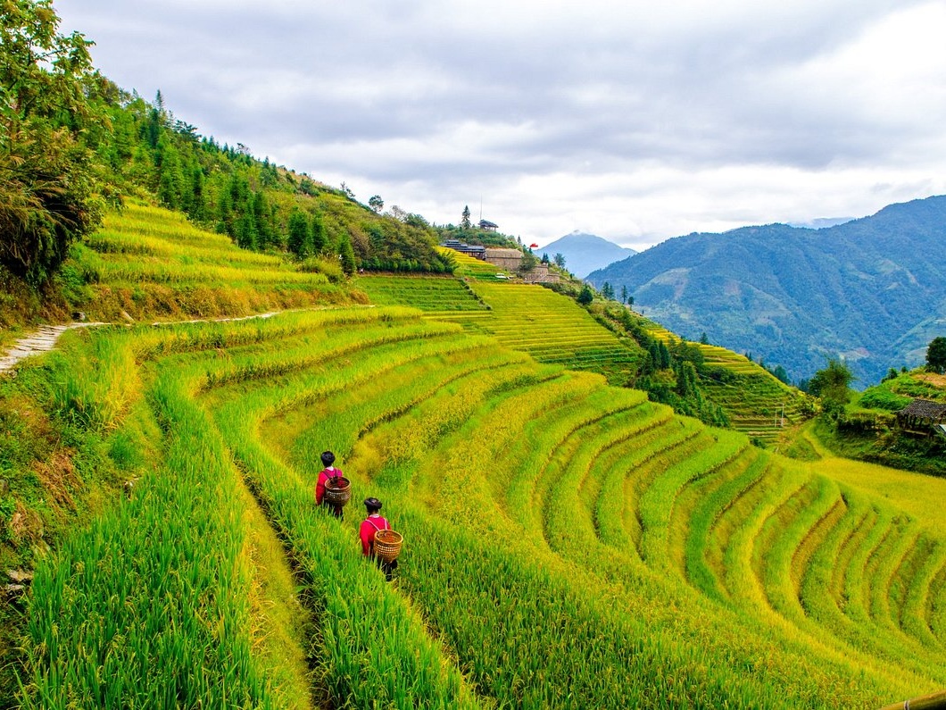 16 Days Private Tour of Beijing - Xi'an - Guilin - Yangshuo - Guilin - Chengdu - Chongqing - Yangtze River Cruise - Yichang - Shanghai