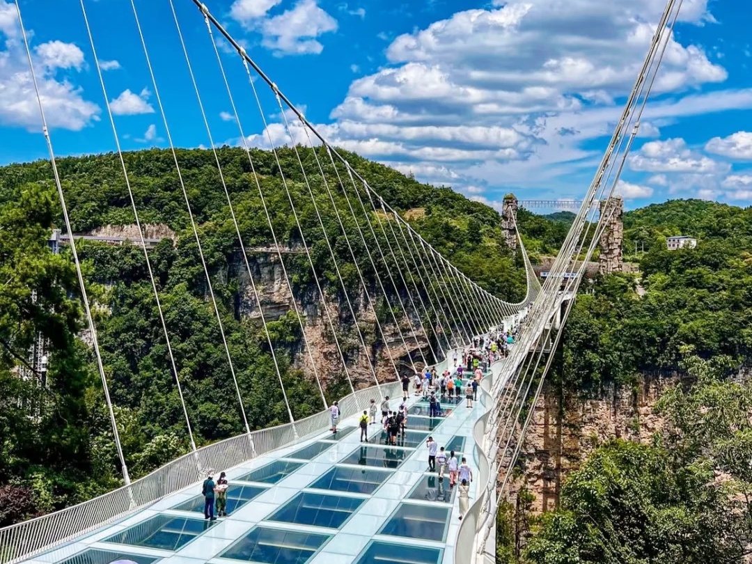 11 Days Private Tour of Beijing - Xi'an - Zhangjiajie - Shanghai