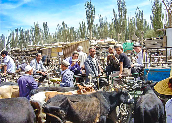 A Local Bazaar