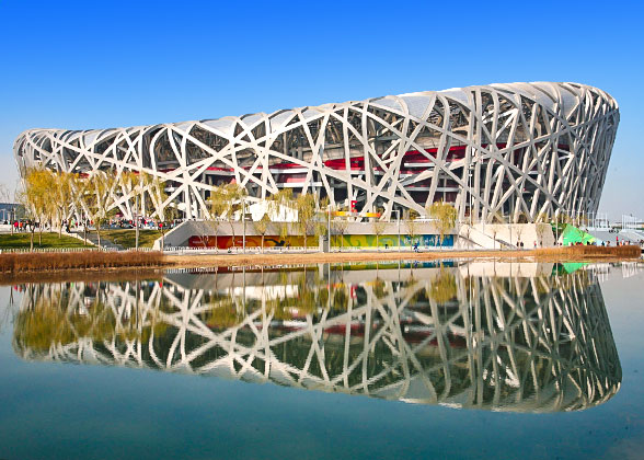 Bird's Nest