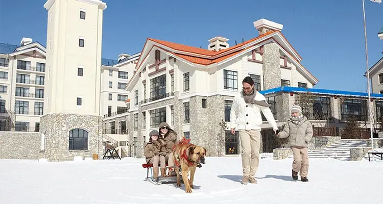 skiing lesson