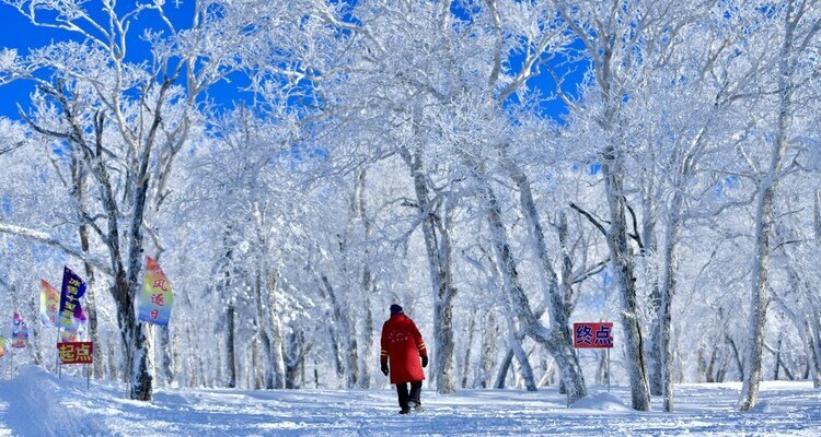 Rime Landscape