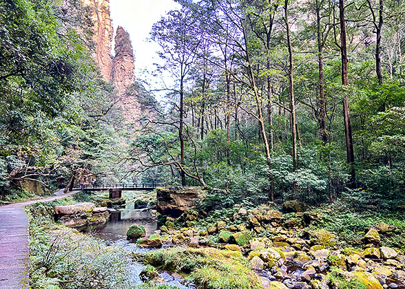 Hiking at the Golden Whip Stream