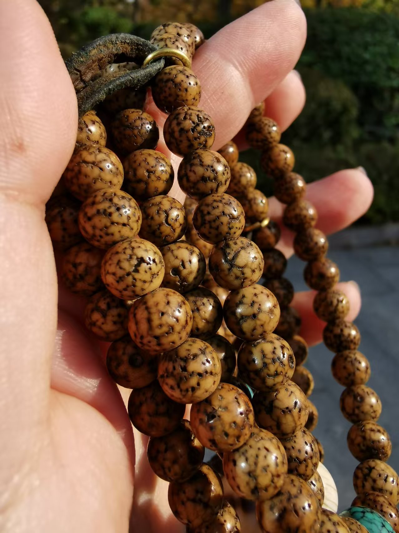 15411  Qing Dynasty Old Star and Moon Dzi Bead Set｜A Protective Tibetan Treasure Full of Ancient Charm✨清代老星月天珠套装｜藏传古韵满溢的护身美物✨