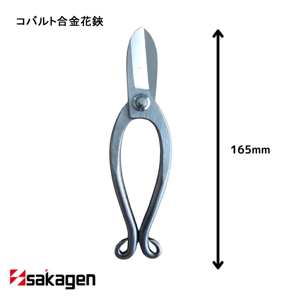 【新潟/坂源/sakagen】生花用ハサミ 82 花鋏 コバルト合金｜園芸 ハサミ 鋏 ステンレス製 生花用 ガーデニング 切断工具 日本製 国産