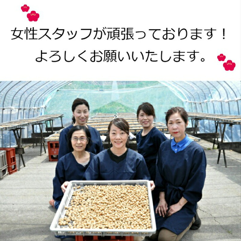 梅干 延年梅 | 延年干梅 中瓶 角瓶  | しそ しょっぱい 無添加 ご飯のお供 贈り物 ギフト プレゼント 贈答品 高級 瓶詰め 職人手作り