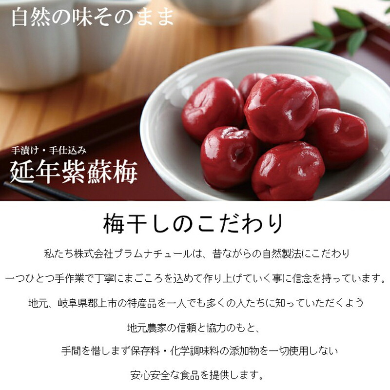 ねり梅 | 延年梅 | 延年ねり梅 小瓶 岐阜県 郡上八幡 伝統 練り梅 梅肉 紀州南高梅 無添加 しそ 練りうめ ペースト 調味料 万能 調味料