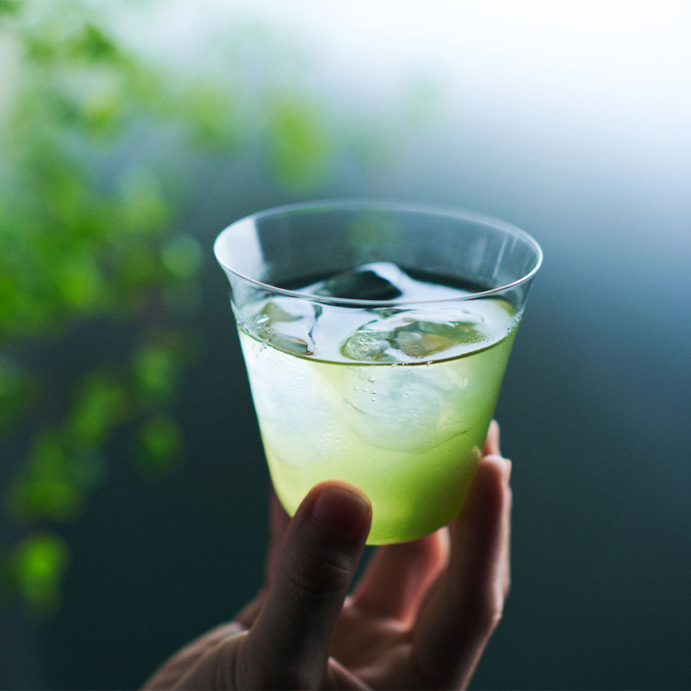 緑茶 宇治田原製茶場 | 上ル入ル水出し緑茶 ほうじ茶 12P | ティーバッグ 水出し茶 日本茶 京都 宇治茶 国産 ティーパック 水だし 冷茶