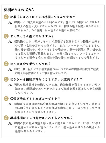 Q&A