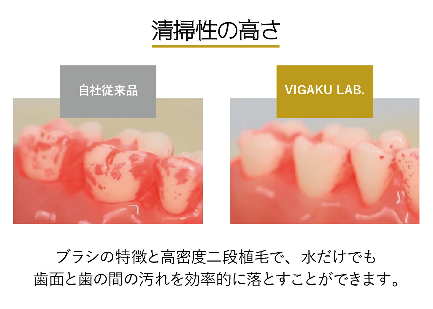 【選べる5色】 歯ブラシ 日本製 ビガクラボ ファーストビガク VIGAKU LAB. クレンジングブラシ | オーラルケア 水だけでツルツル 歯磨き粉不要 高密度二段植毛 美容 サロン推奨 クリア ピンク オレンジ グリーン ブルー 家族 大人用 防災グッズ エコ