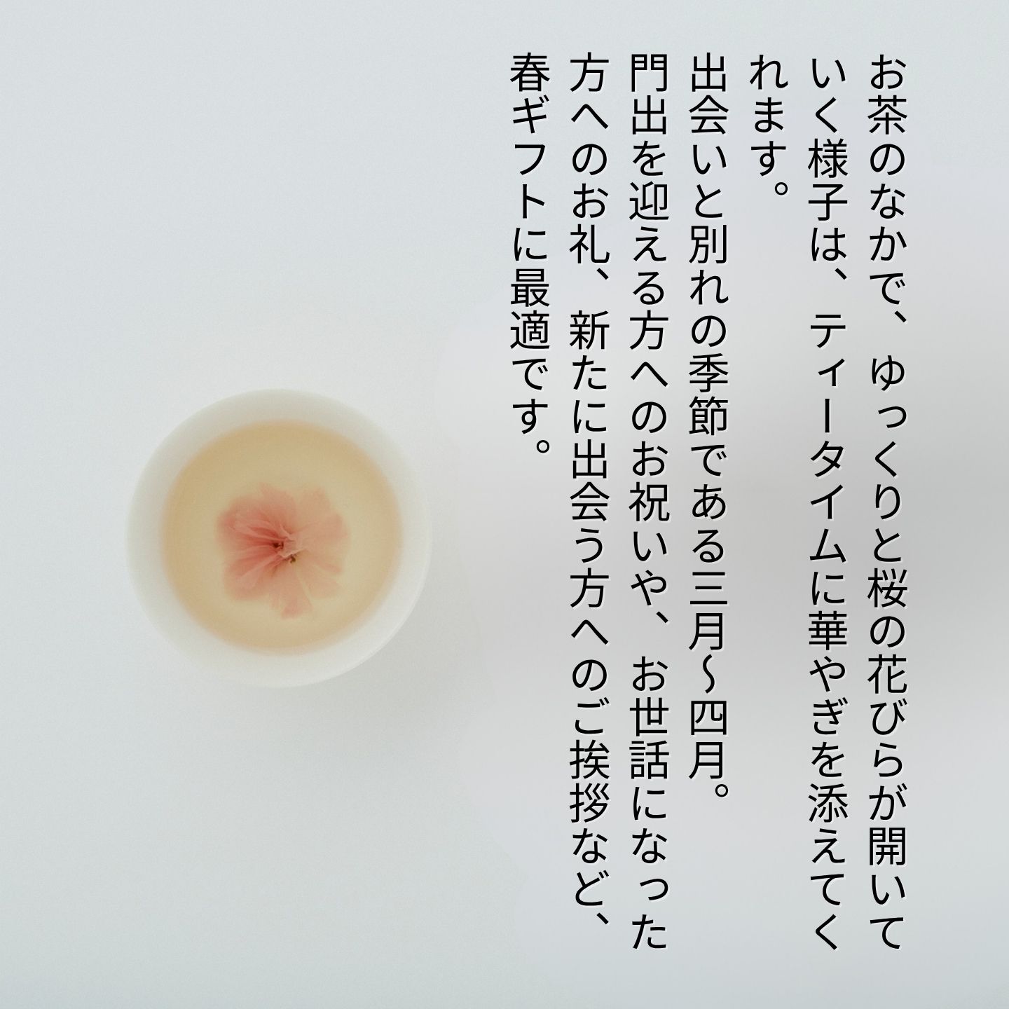 ギフト 2026 プレゼント お茶【季節限定選べるギフト】京玄米茶 | 宇治田原製茶場 | さくら茶 桜茶 玄米茶 国産 宇治茶 玄米茶 京都 宇治 お茶 日本茶 贈り物 スイーツ以外 健康 花以外 ティーバッグ 詰め合わせ ギフト プレゼント 入学祝い 卒業祝い 内祝い お礼