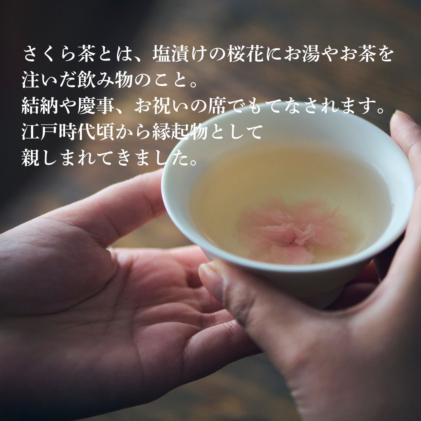 ギフト 2026 プレゼント お茶【季節限定選べるギフト】京玄米茶 | 宇治田原製茶場 | さくら茶 桜茶 玄米茶 国産 宇治茶 玄米茶 京都 宇治 お茶 日本茶 贈り物 スイーツ以外 健康 花以外 ティーバッグ 詰め合わせ ギフト プレゼント 入学祝い 卒業祝い 内祝い お礼
