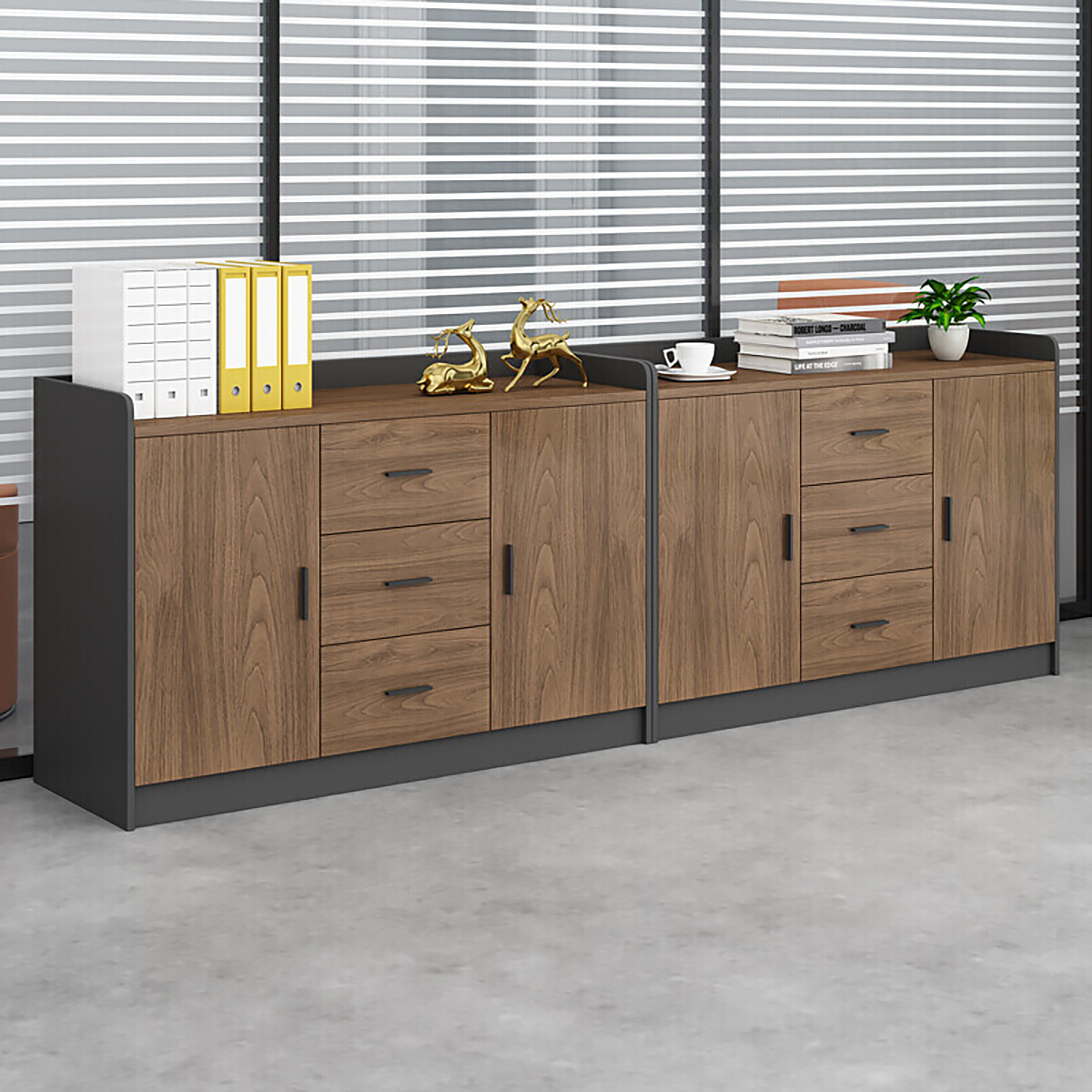 Modern Office Storage Cabinet for Documents & Office Equipment FC-002