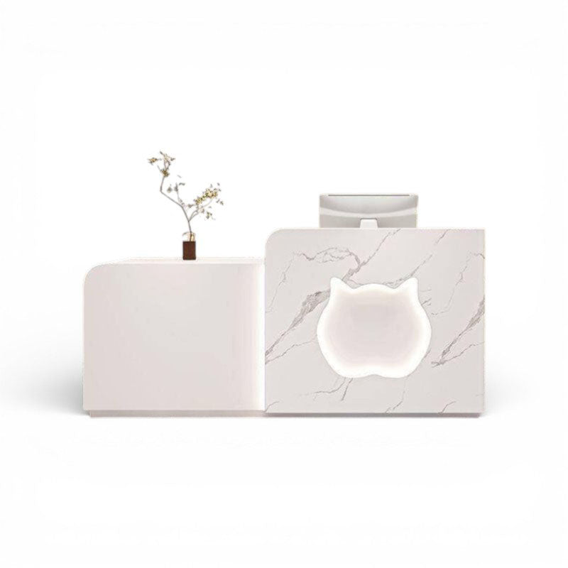 Modern Minimalist Reception Desk – Versatile Shop Front Counter