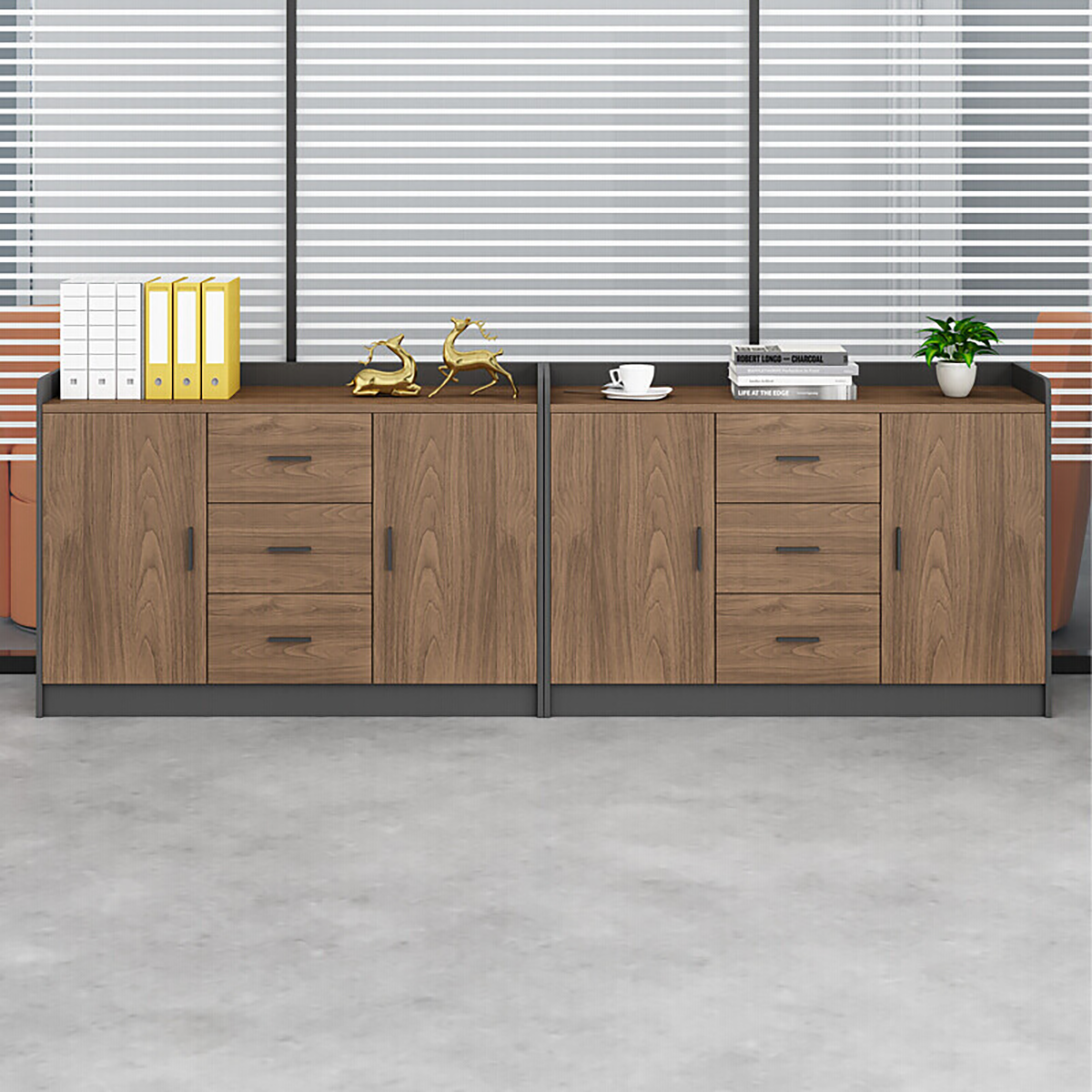 Modern Office Storage Cabinet for Documents & Office Equipment FC-002