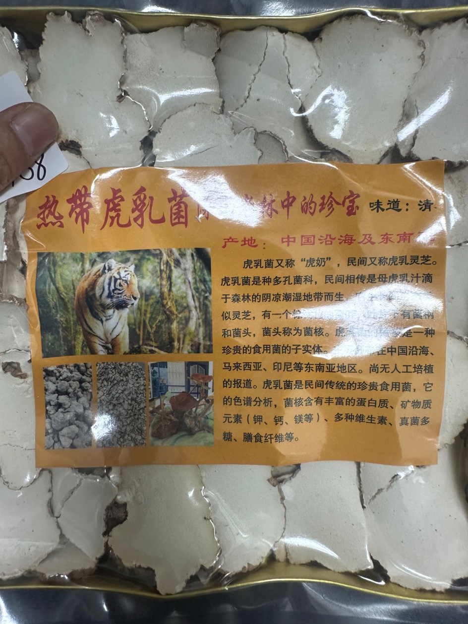 17B 虎乳菌