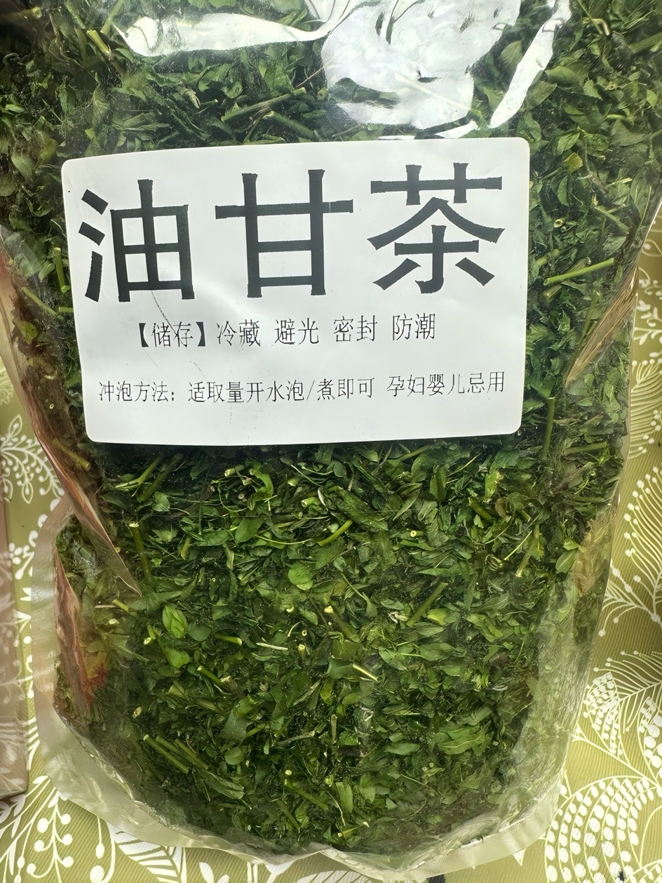18A 油甘茶