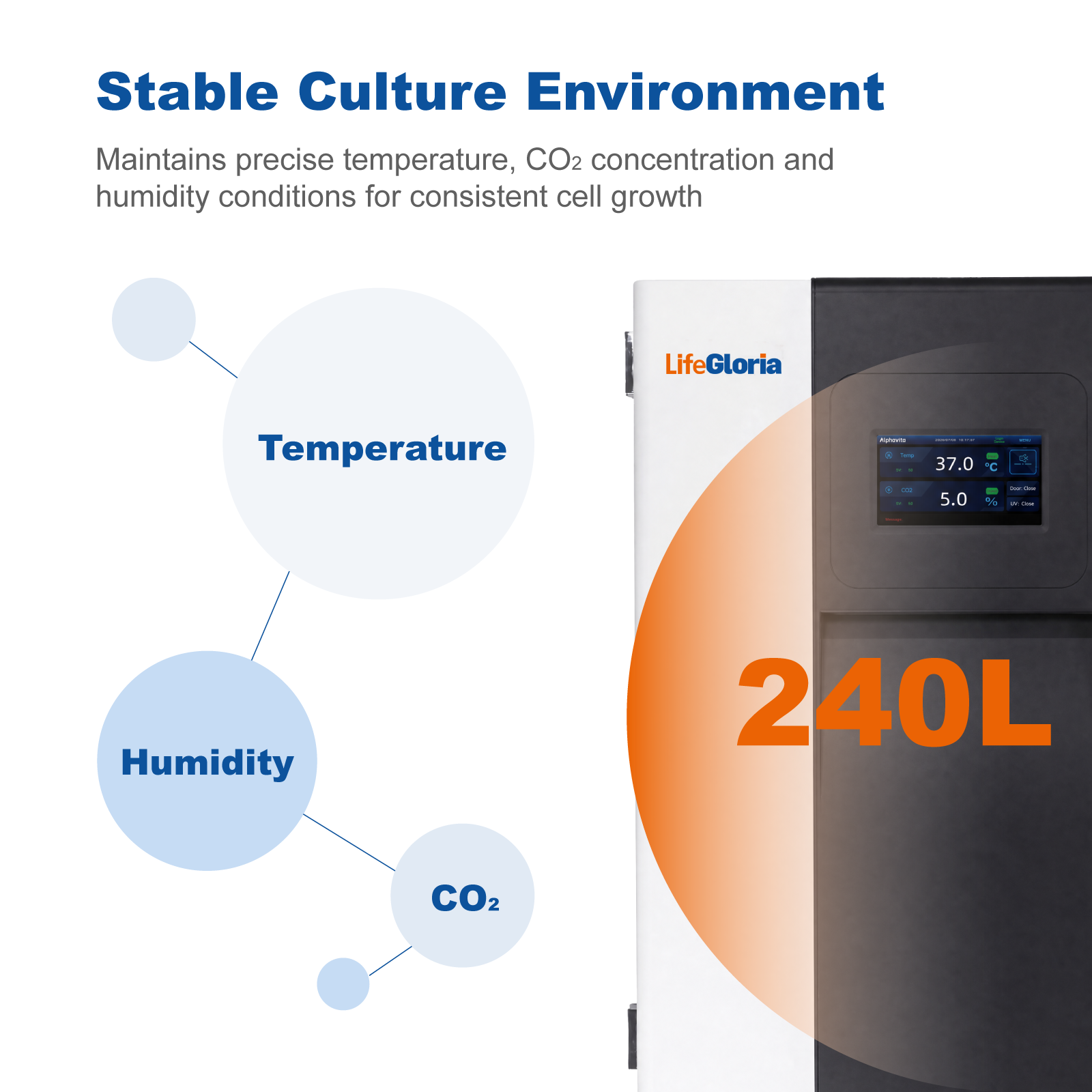 170L & 240L CO2 Incubator with SUS304 Chamber | Touch Screen Cell Culture Incubator with Precise Temperature, CO2 & Humidity Control