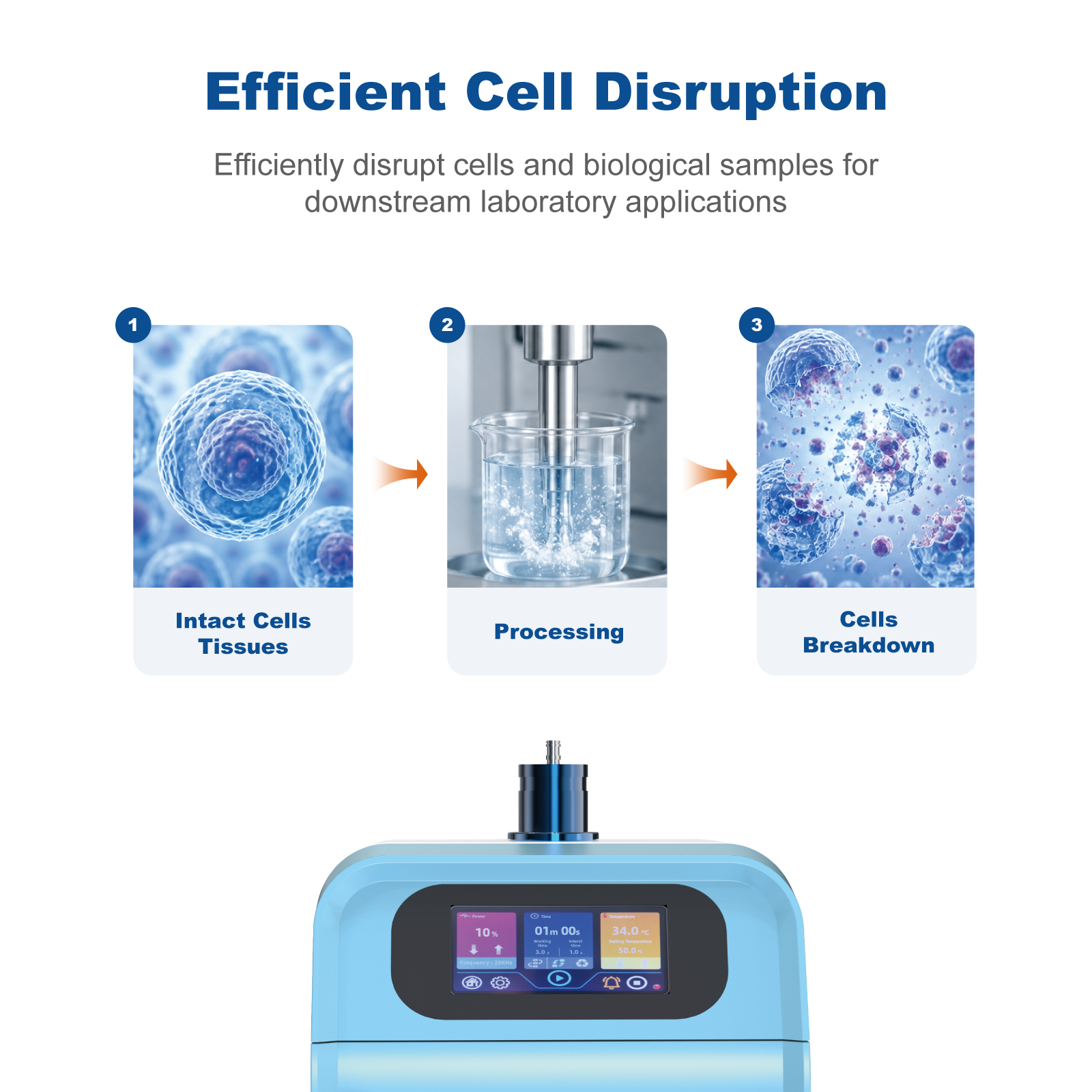 Ultrasonic Cell Disruption System | 10–100% Power Adjustable, 0–9999min Timer
